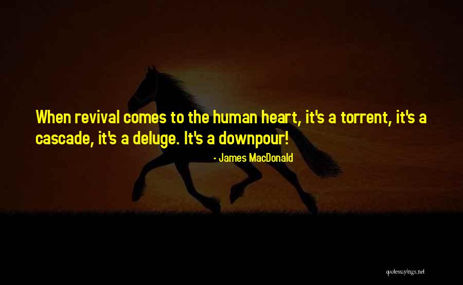 Carraher Farms Quotes By James MacDonald Carraher Farms Quotes By James MacDonald