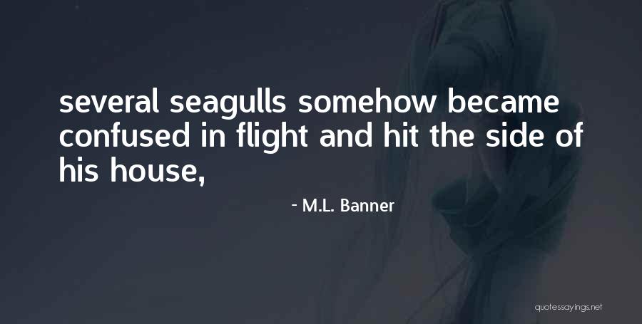 Carrano Sandals Quotes By M.L. Banner Carrano Sandals Quotes By M.L. Banner