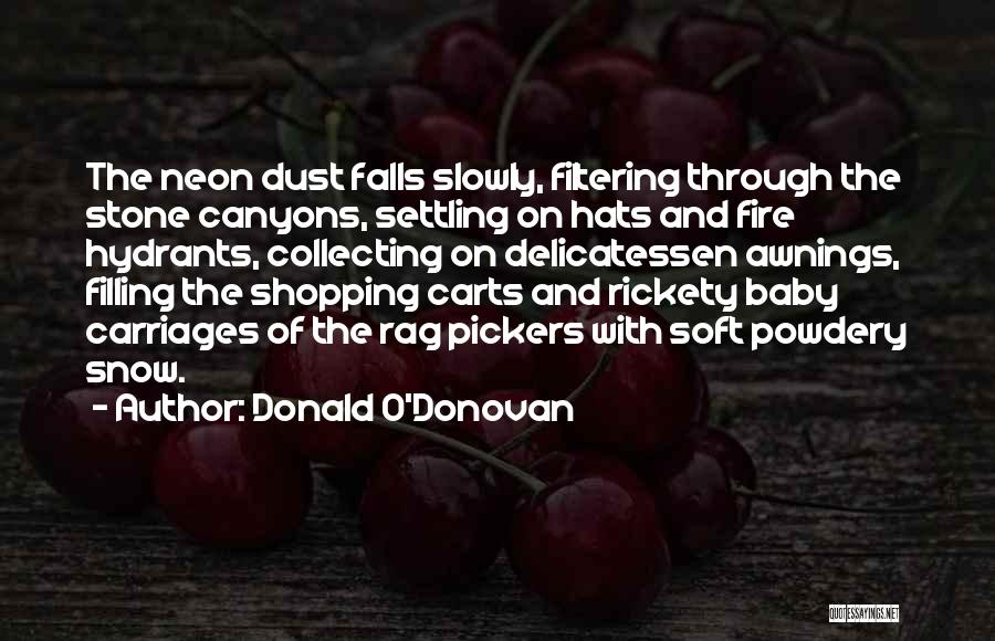 Carriages Quotes By Donald O'Donovan