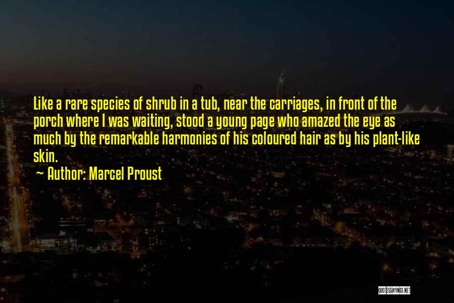 Carriages Quotes By Marcel Proust