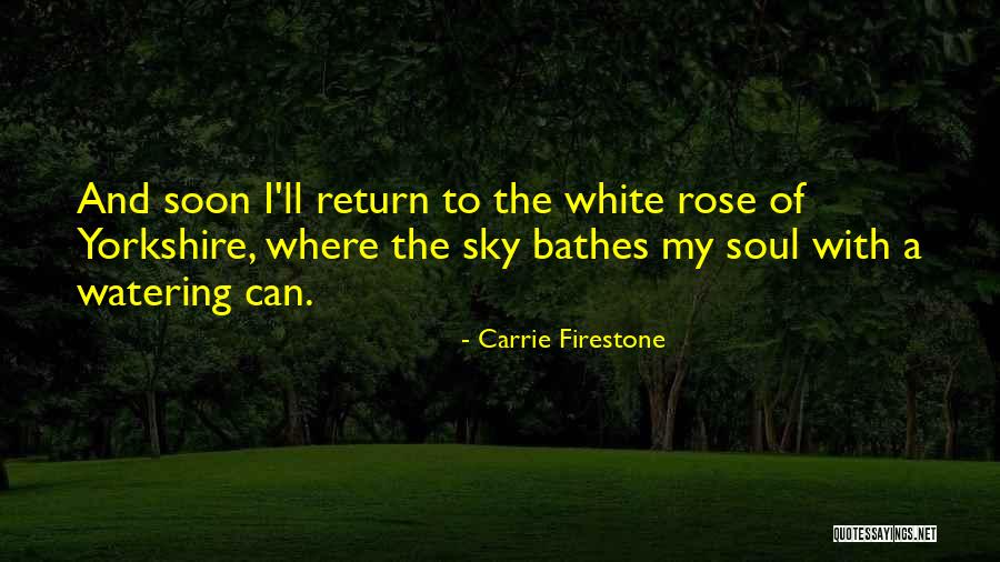 Carrie Firestone Quotes 1963396