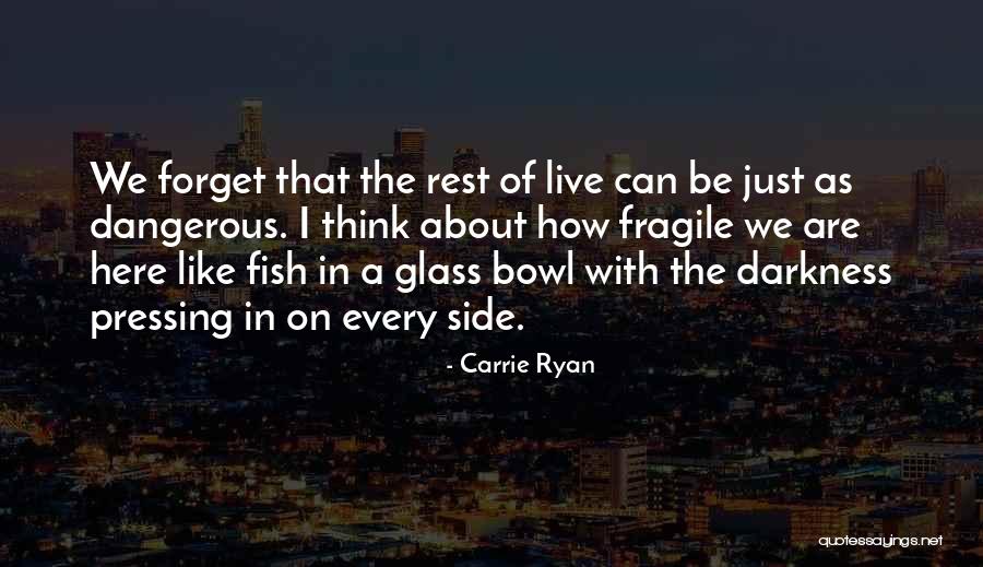 Carrie Ryan Quotes 466757