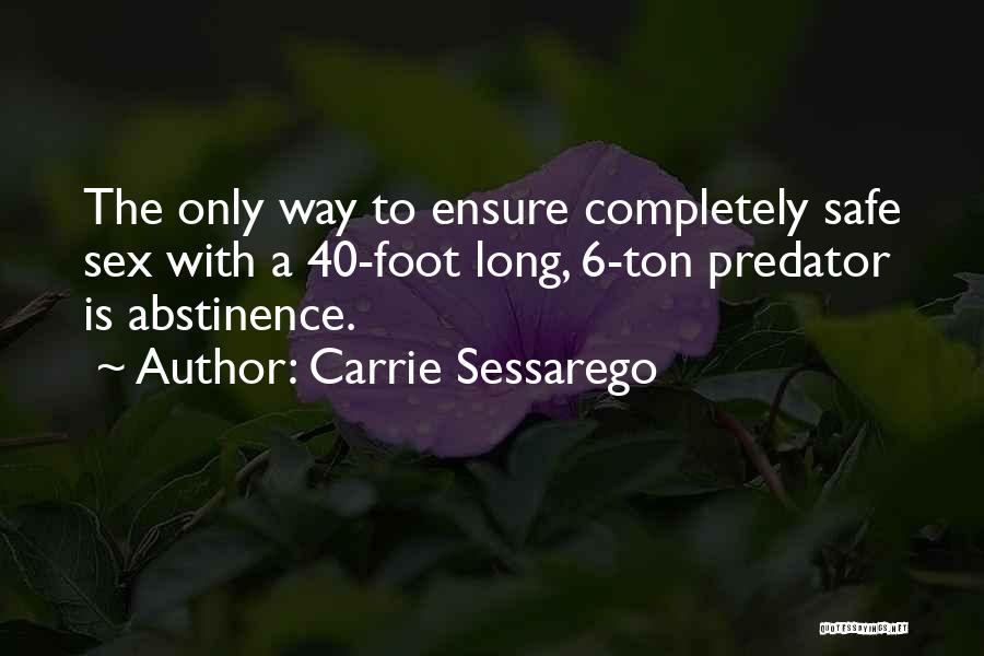 Carrie Sessarego Quotes 808597