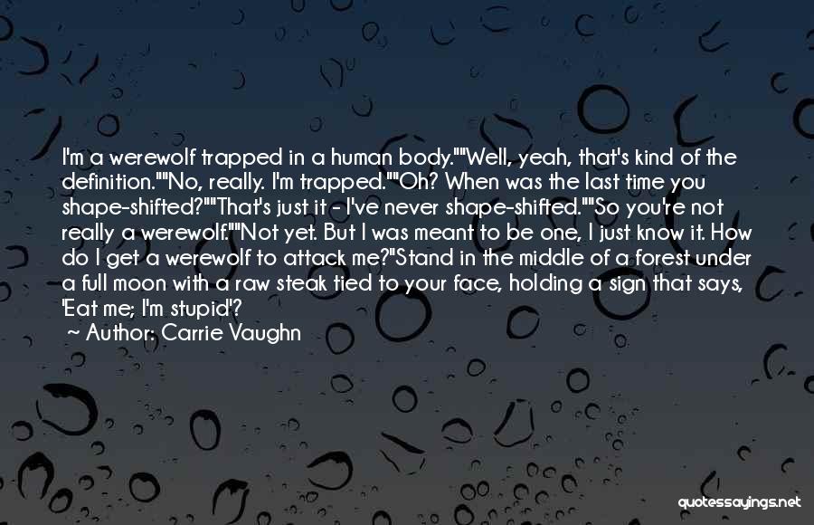 Carrie Vaughn Quotes 805995