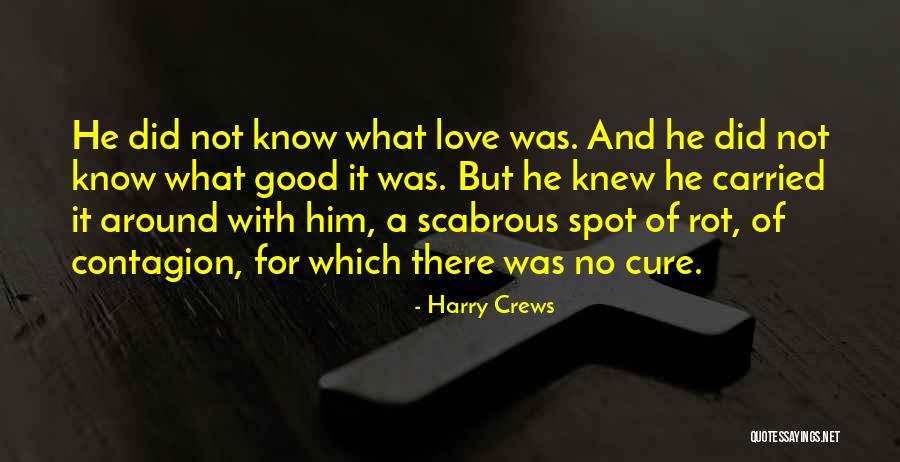 Carried Quotes By Harry Crews