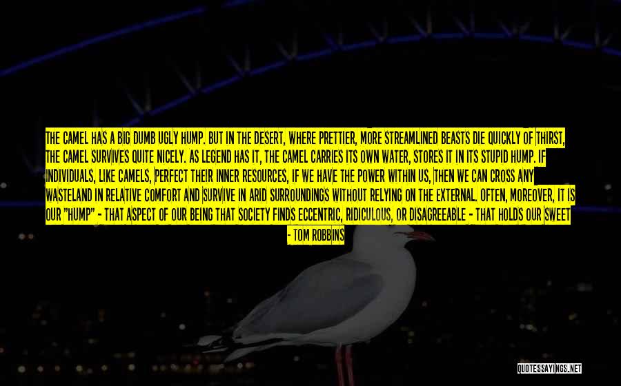 Carries Big Quotes By Tom Robbins Carries Big Quotes By Tom Robbins