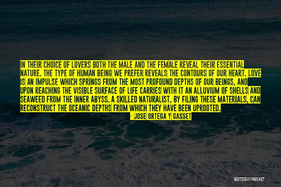 Carries The Materials Quotes By Jose Ortega Y Gasset Carries The Materials Quotes By Jose Ortega Y Gasset