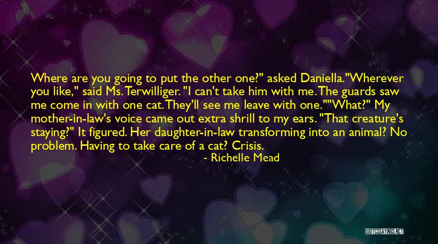 Carrillos Income Quotes By Richelle Mead Carrillos Income Quotes By Richelle Mead