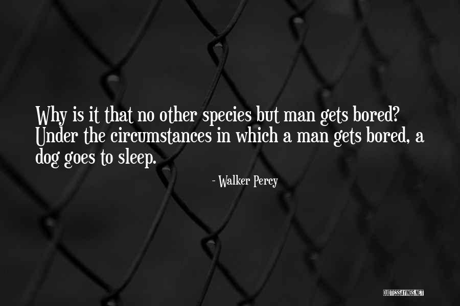 Carriminity Quotes By Walker Percy Carriminity Quotes By Walker Percy