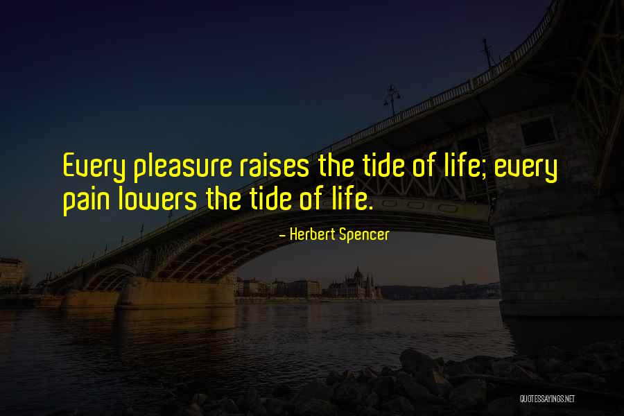 Carrinhos Quotes By Herbert Spencer Carrinhos Quotes By Herbert Spencer