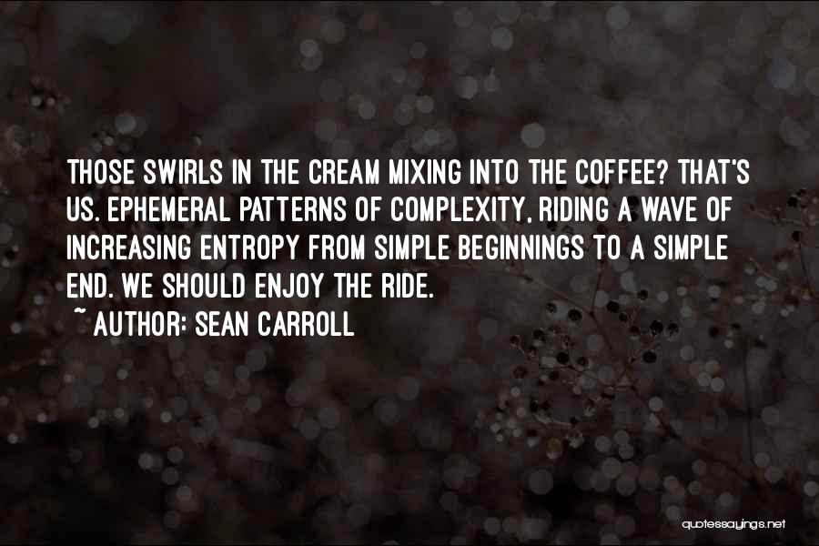 Carroll Quotes By Sean Carroll