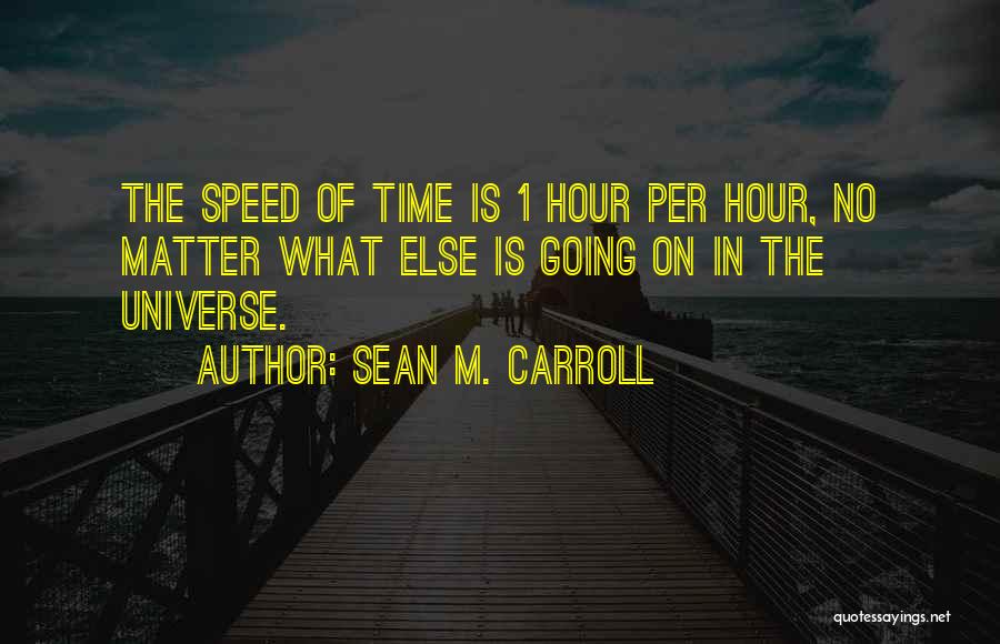 Carroll Quotes By Sean M. Carroll