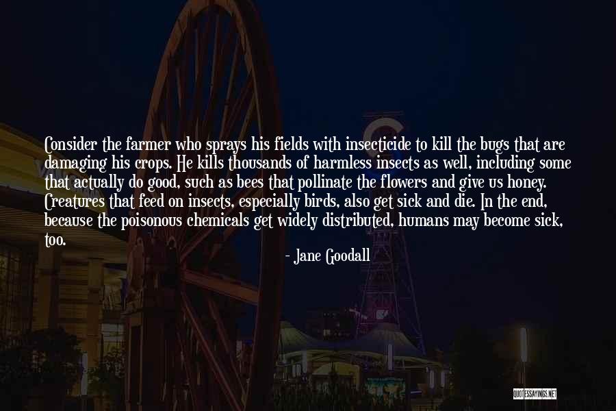 Carrollton Ga Quotes By Jane Goodall Carrollton Ga Quotes By Jane Goodall