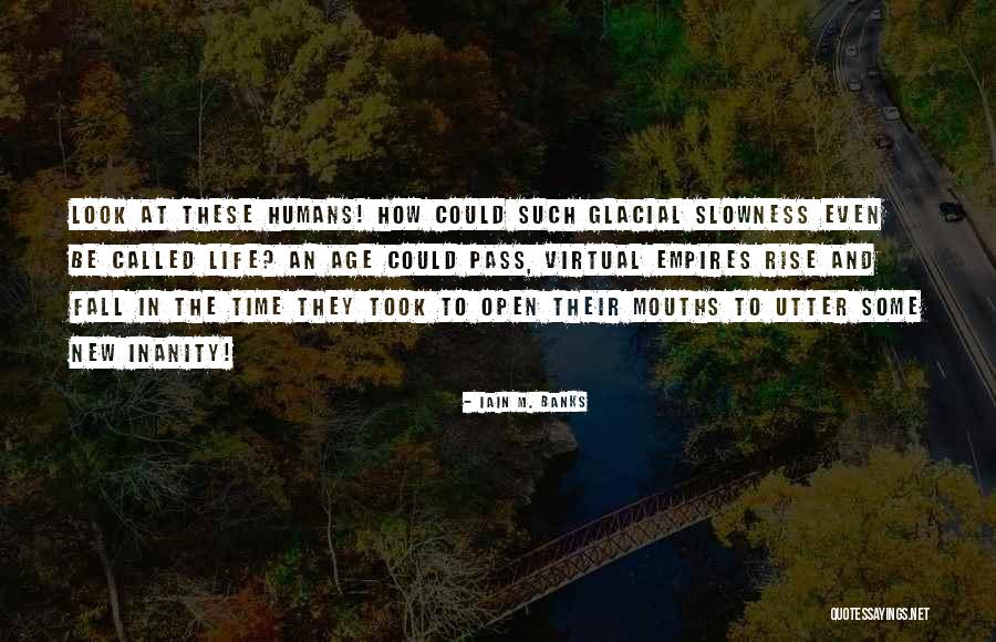 Carruthers School Quotes By Iain M. Banks Carruthers School Quotes By Iain M. Banks