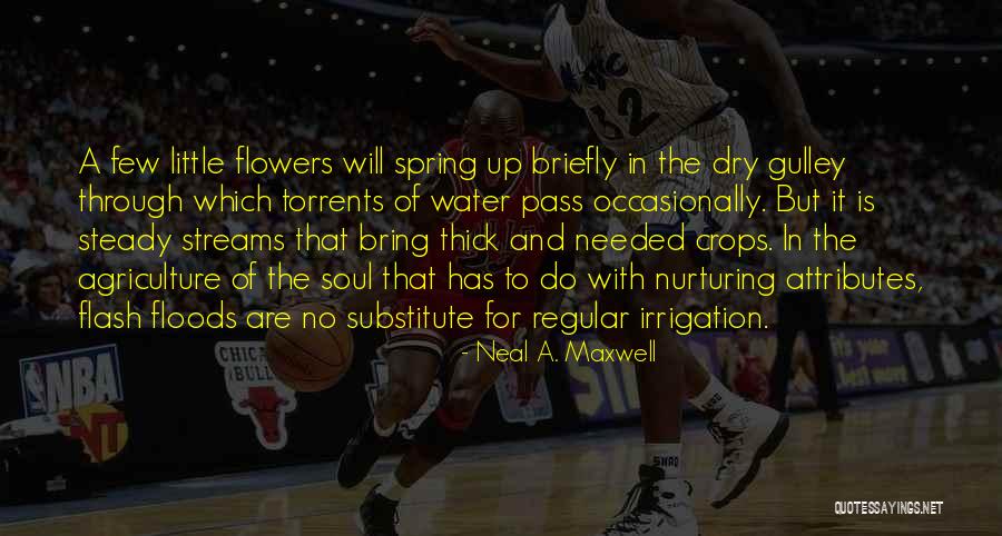 Carry Big Heart Quotes By Neal A. Maxwell Carry Big Heart Quotes By Neal A. Maxwell