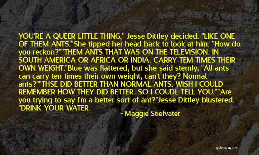 Carry On Back Quotes By Maggie Stiefvater Carry On Back Quotes By Maggie Stiefvater