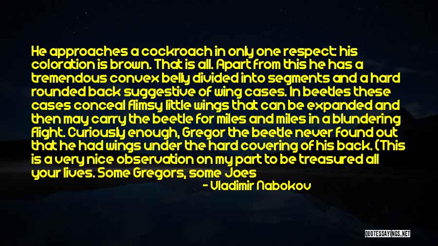 Carry On Back Quotes By Vladimir Nabokov Carry On Back Quotes By Vladimir Nabokov