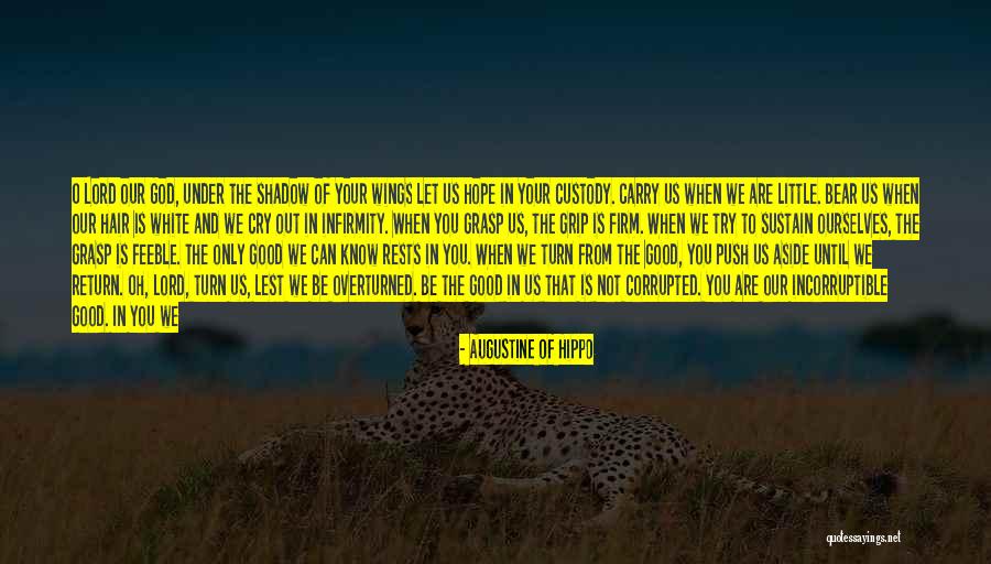 Carry You Away Quotes By Augustine Of Hippo Carry You Away Quotes By Augustine Of Hippo