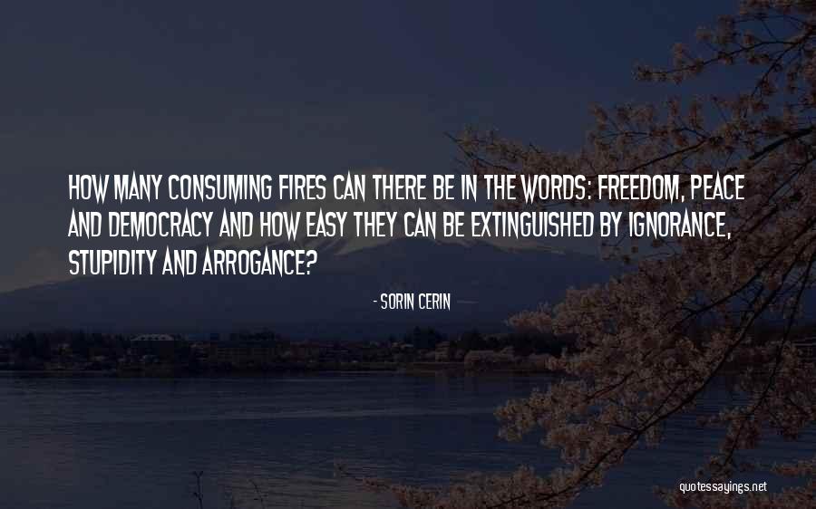 Carryduff Quotes By Sorin Cerin Carryduff Quotes By Sorin Cerin