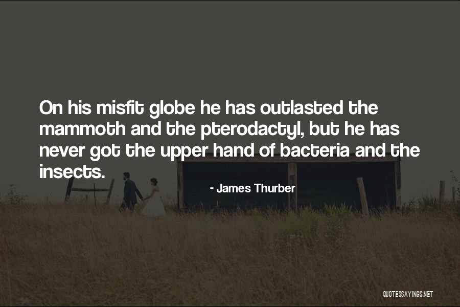 Carrying A Loved One Quotes By James Thurber Carrying A Loved One Quotes By James Thurber