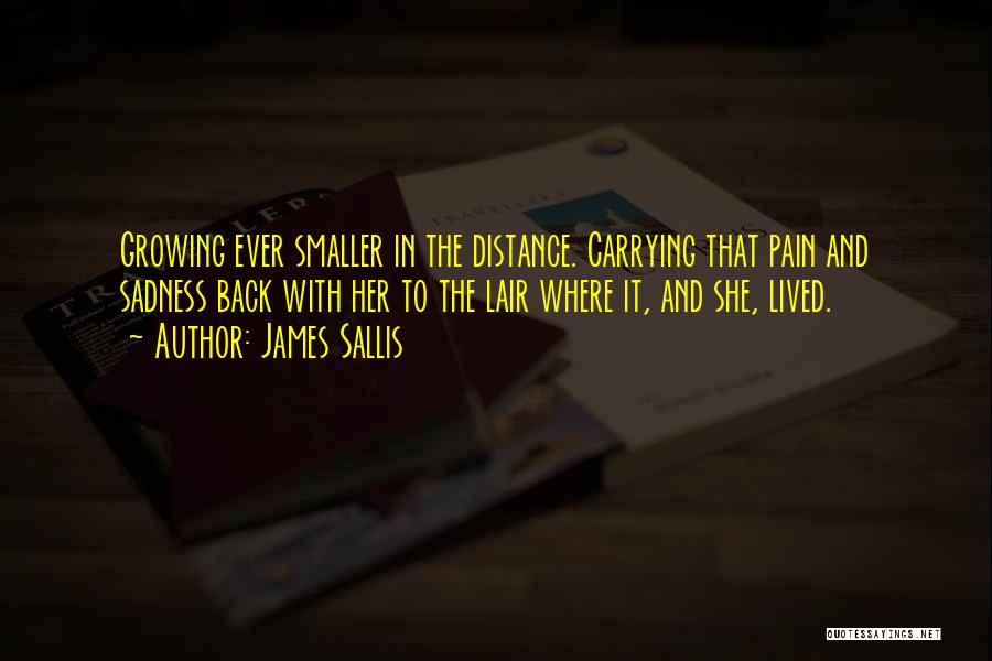 Carrying Pain Quotes By James Sallis
