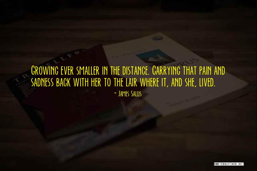 Carrying Pain Quotes By James Sallis