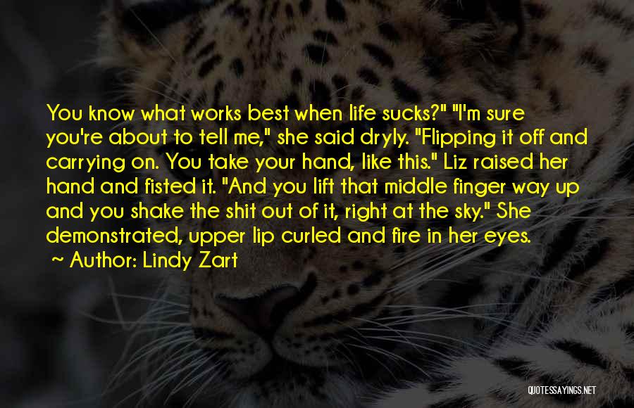 Carrying The Fire Quotes By Lindy Zart