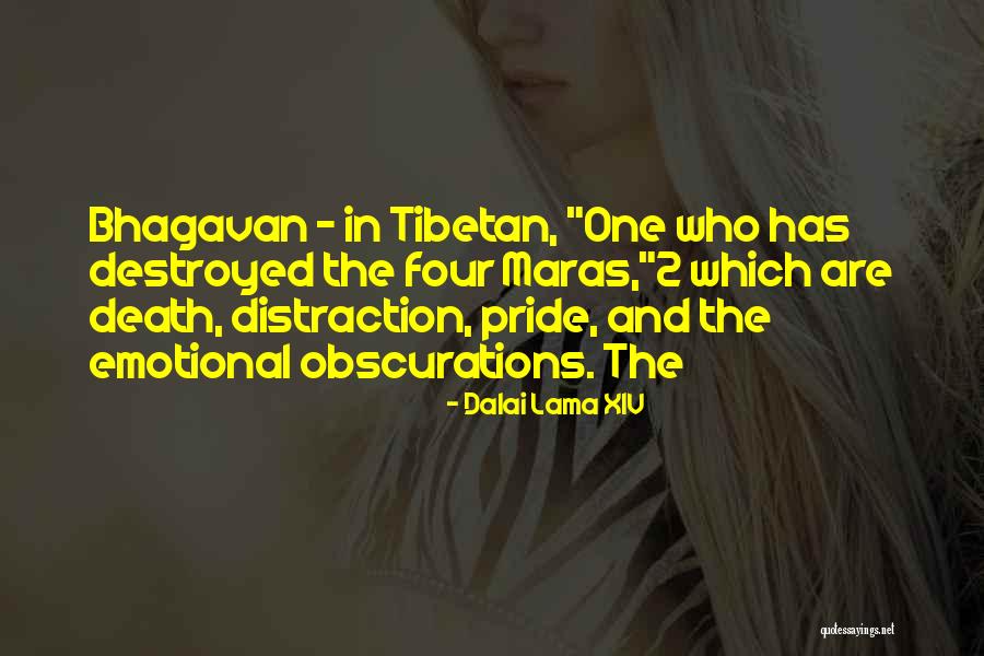 Carryingest Quotes By Dalai Lama XIV Carryingest Quotes By Dalai Lama XIV