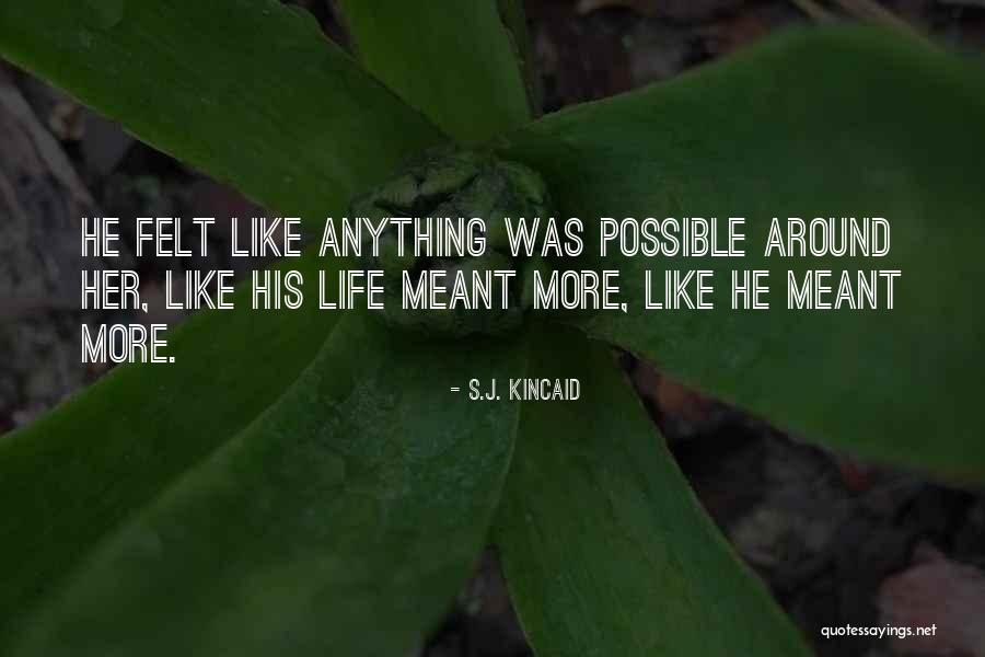 Carryings Quotes By S.J. Kincaid Carryings Quotes By S.J. Kincaid