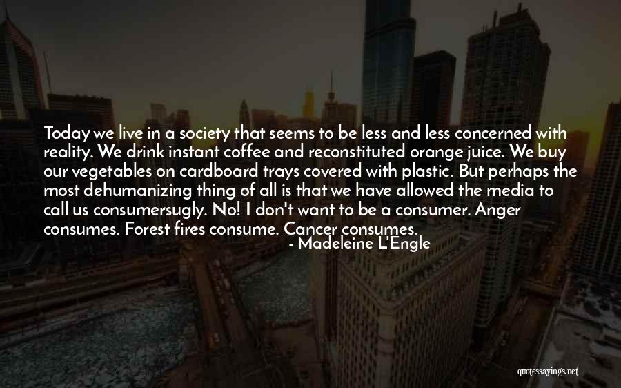 Carryout Cabby Quotes By Madeleine L'Engle Carryout Cabby Quotes By Madeleine L'Engle