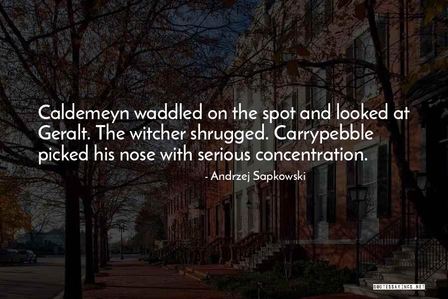 Carrypebble Quotes By Andrzej Sapkowski Carrypebble Quotes By Andrzej Sapkowski