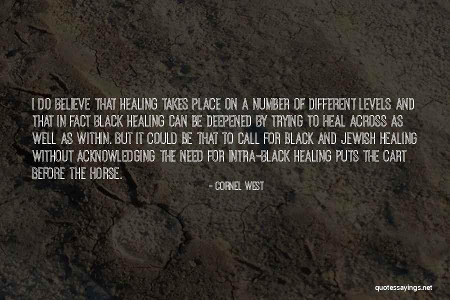 Cart Before The Horse Quotes By Cornel West Cart Before The Horse Quotes By Cornel West