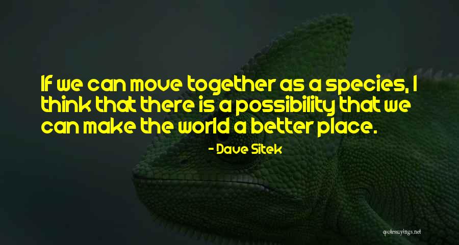 Cartellone Complementi Quotes By Dave Sitek Cartellone Complementi Quotes By Dave Sitek