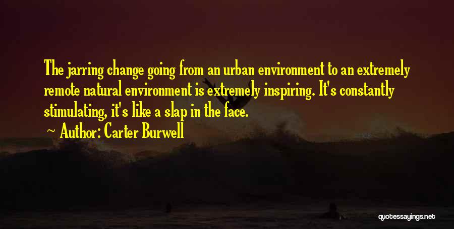 Carter Burwell Quotes 2102276