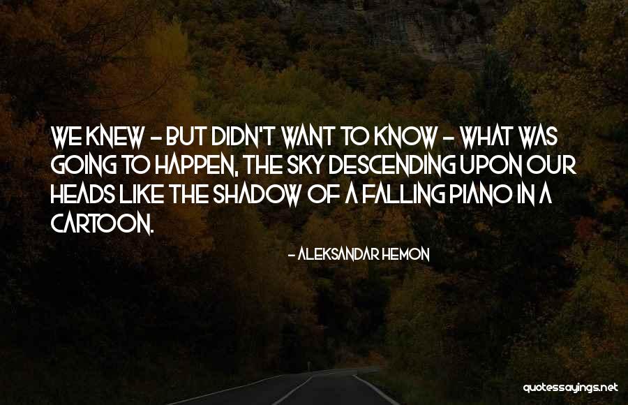 Cartoon Like Quotes By Aleksandar Hemon Cartoon Like Quotes By Aleksandar Hemon