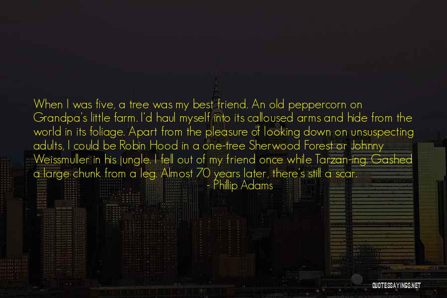 Cartuccia Movimento Quotes By Phillip Adams Cartuccia Movimento Quotes By Phillip Adams