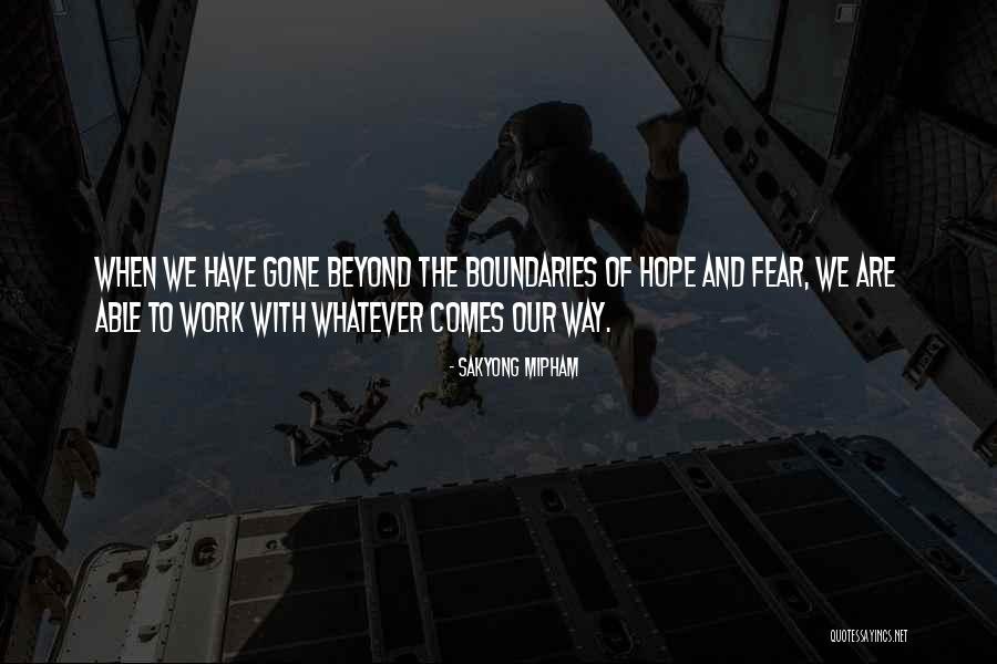 Cartwheeling Airplane Quotes By Sakyong Mipham Cartwheeling Airplane Quotes By Sakyong Mipham