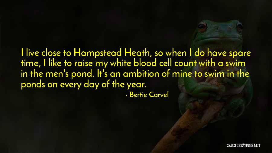 Carvel Quotes By Bertie Carvel Carvel Quotes By Bertie Carvel