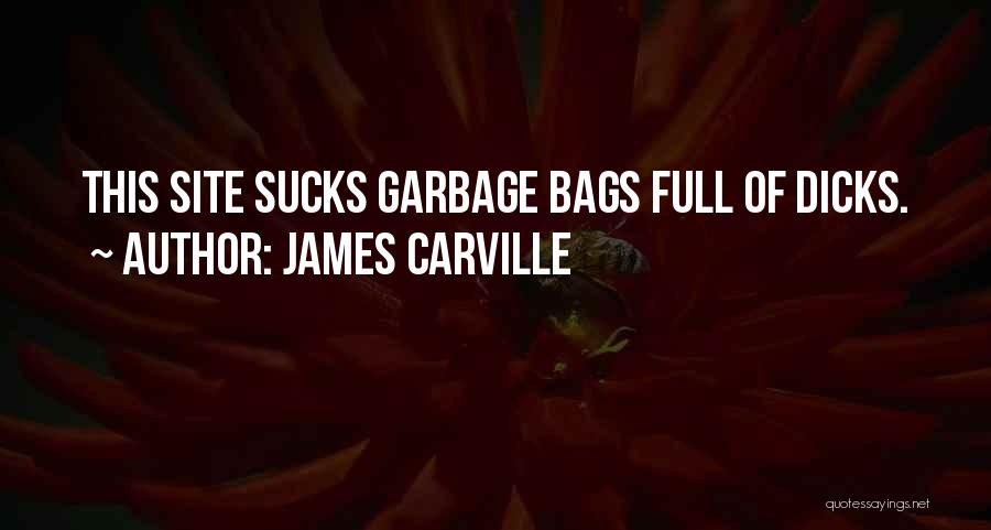 Carville Quotes By James Carville