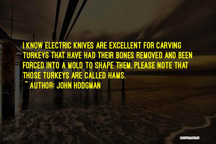 Carving Quotes By John Hodgman