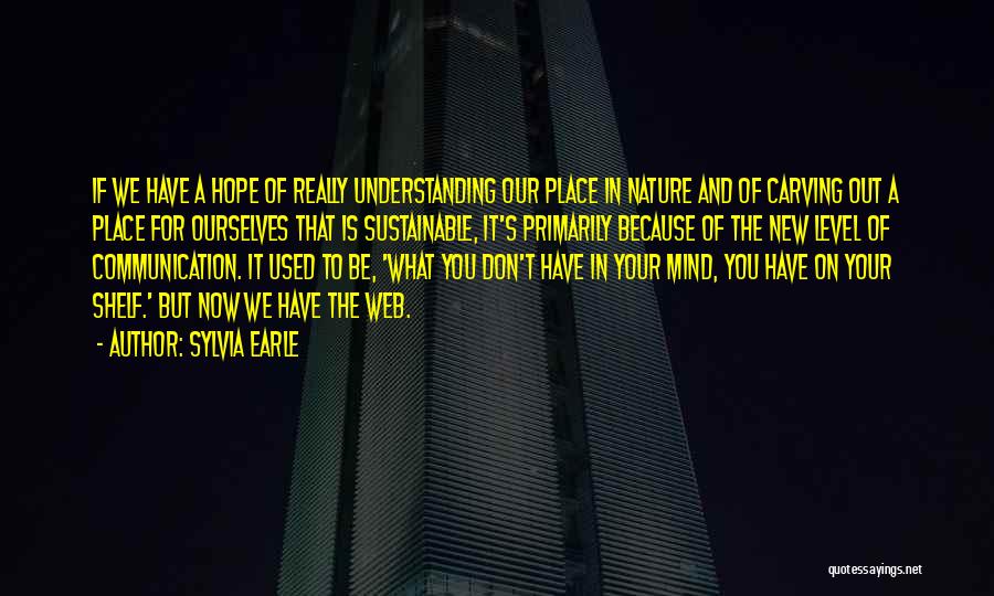 Carving Quotes By Sylvia Earle