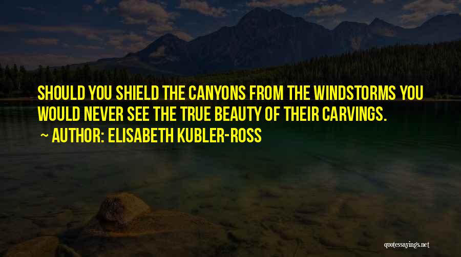 Carvings Quotes By Elisabeth Kubler-Ross