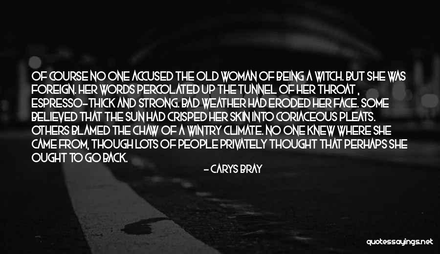 Carys Bray Quotes 1078542