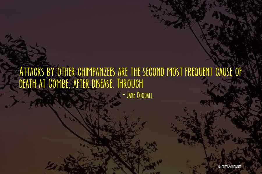Casadas Quotes By Jane Goodall Casadas Quotes By Jane Goodall