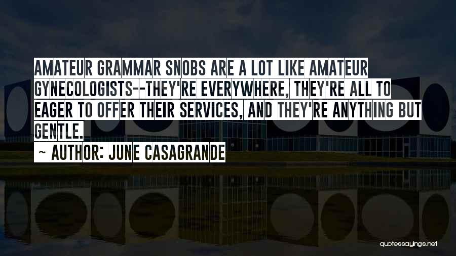 Casagrande Quotes By June Casagrande