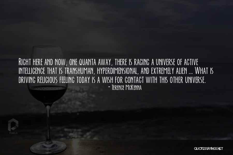 Casale Rent All Quotes By Terence McKenna Casale Rent All Quotes By Terence McKenna