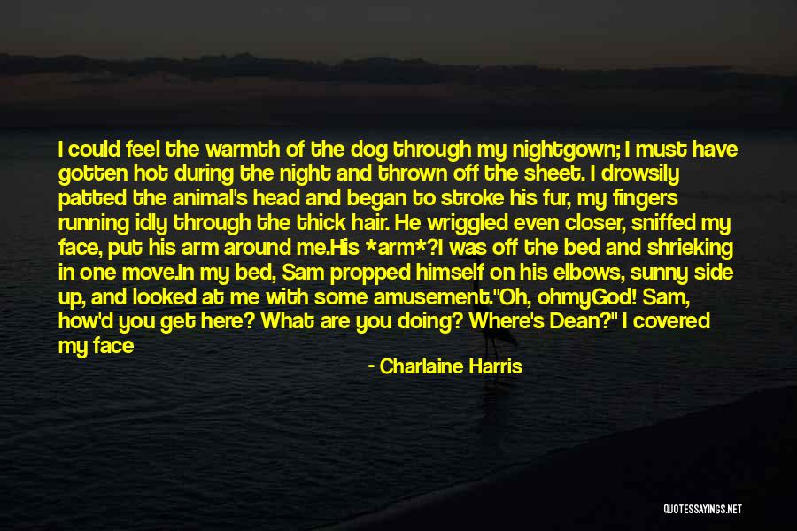Casaletta Elmsford Quotes By Charlaine Harris Casaletta Elmsford Quotes By Charlaine Harris