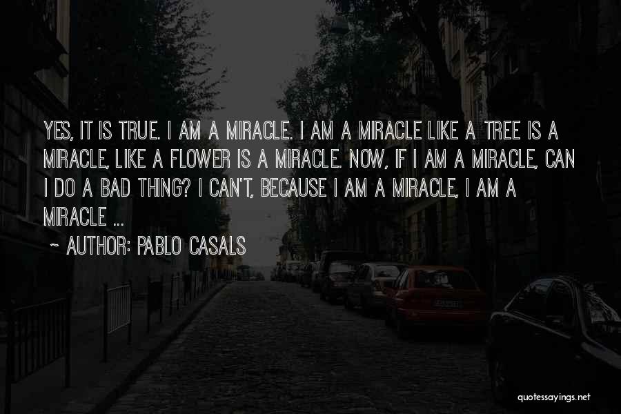 Casals Quotes By Pablo Casals