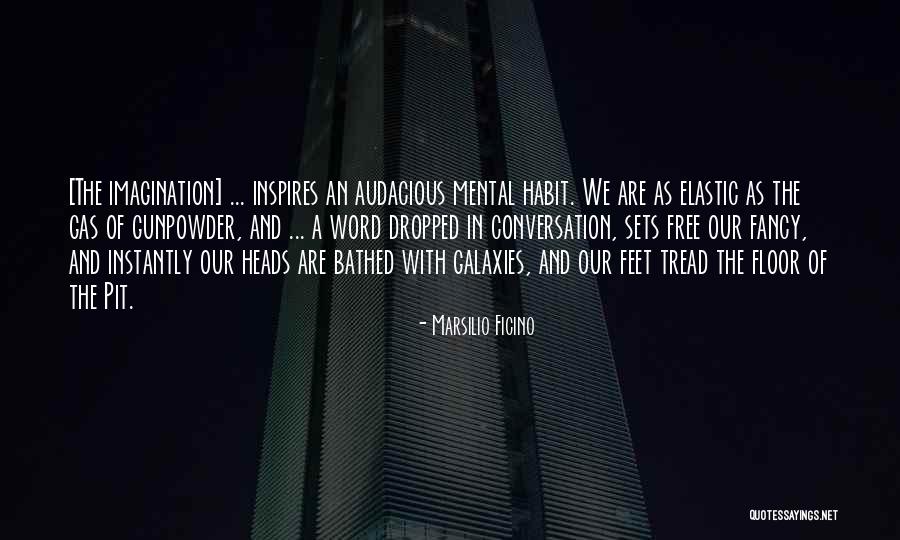 Cascades Indoor Quotes By Marsilio Ficino Cascades Indoor Quotes By Marsilio Ficino