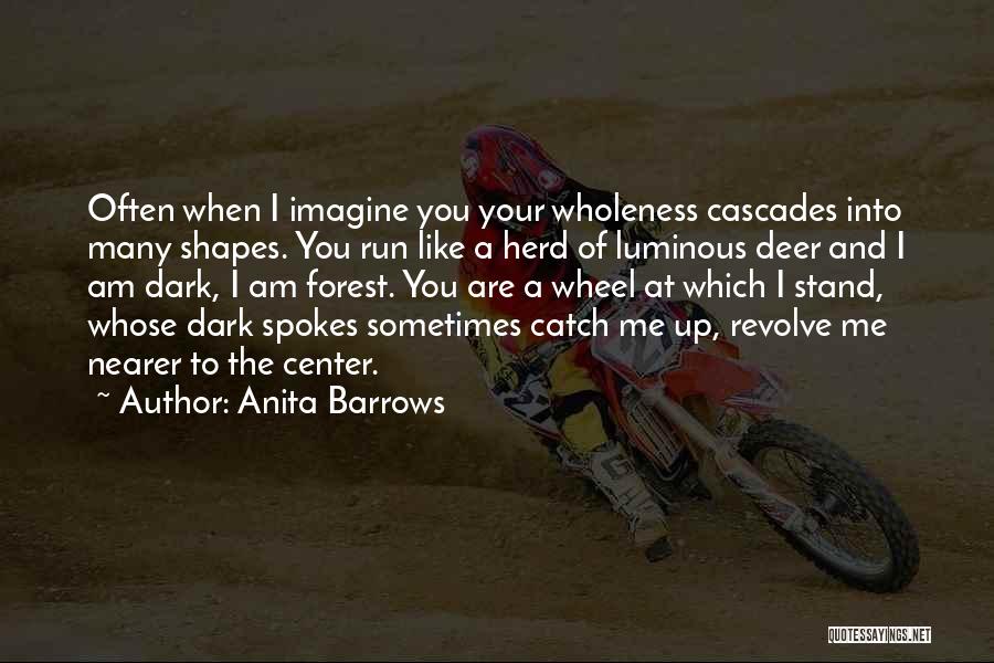 Cascades Quotes By Anita Barrows